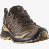Кроссовки XA PRO 3D v9 GTX (RU 47 UK 12.5 USm 13 СМ 30.5; dark earth/desert tan/black)
